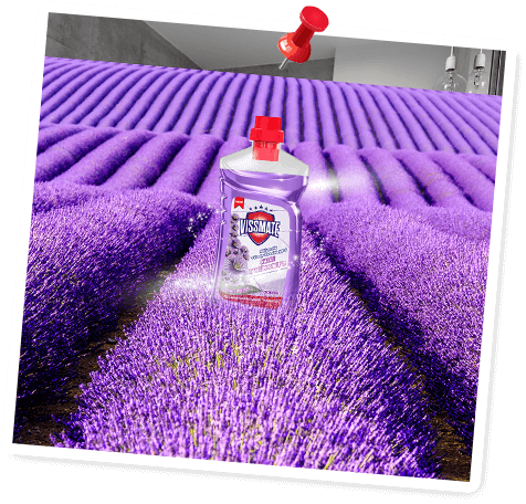 Blogger Selen Hanım