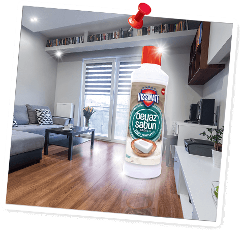 Blogger Hayriye Hanım